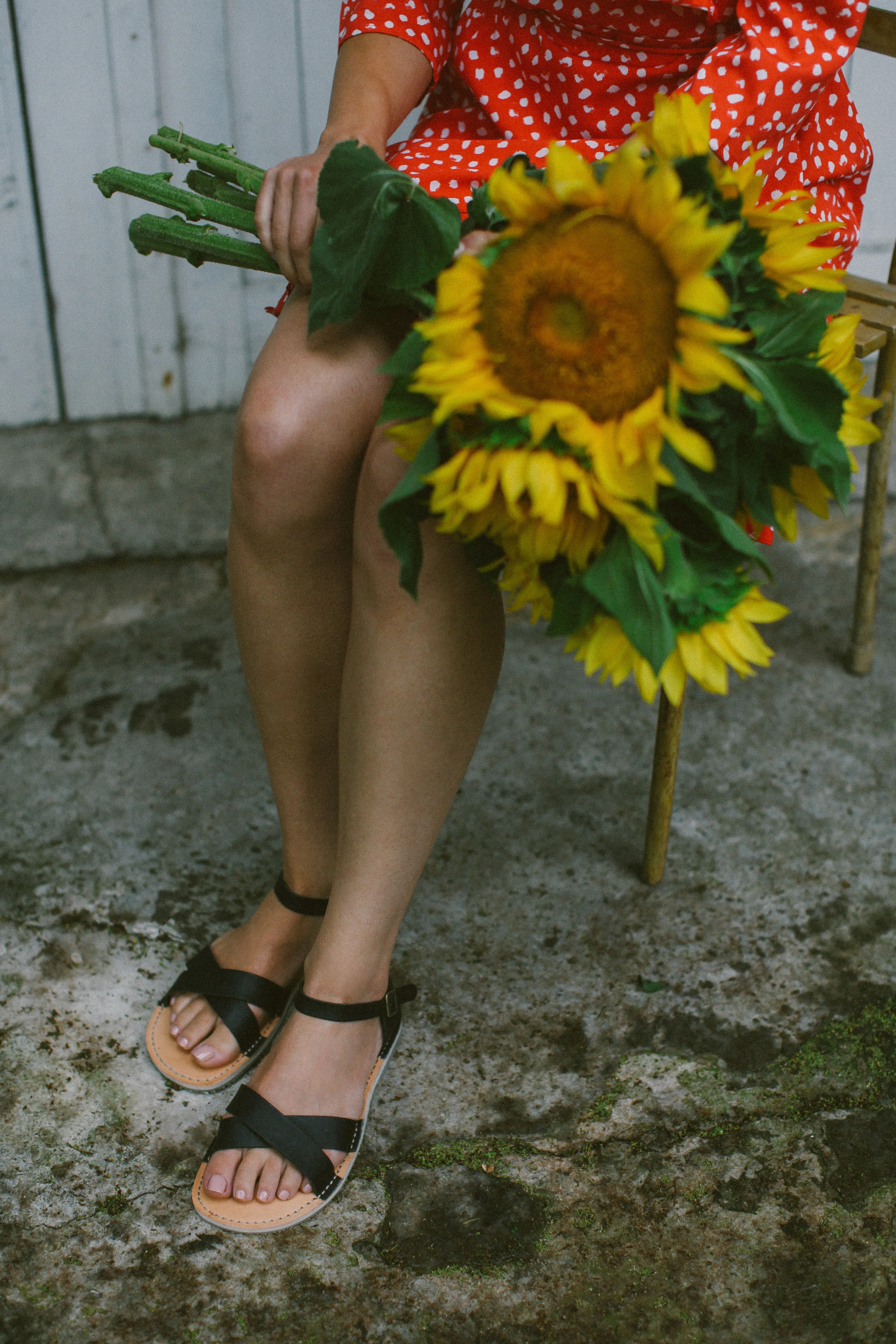 Febo Cross Barefoot - Nero - Image 16