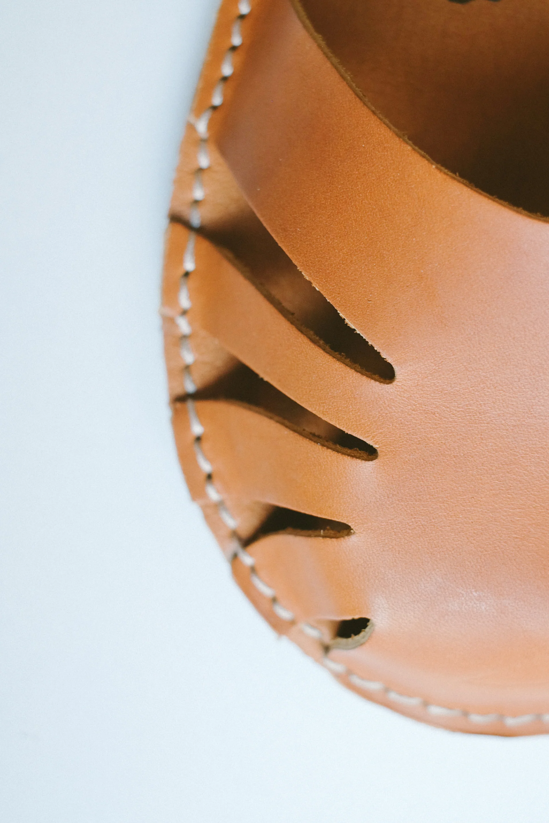 Monstera - Ambra - Image 7