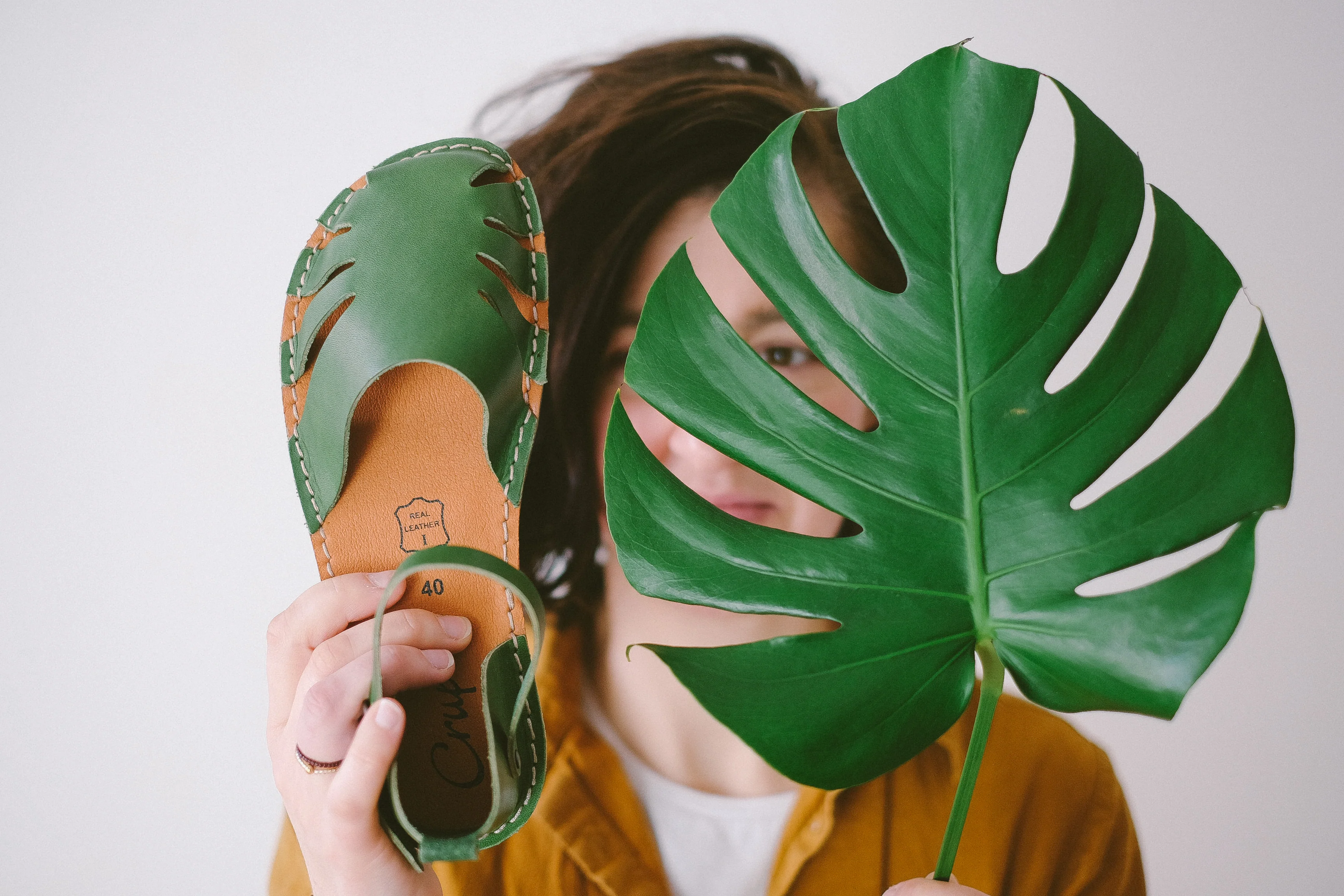 Monstera - Lattuga - Image 2