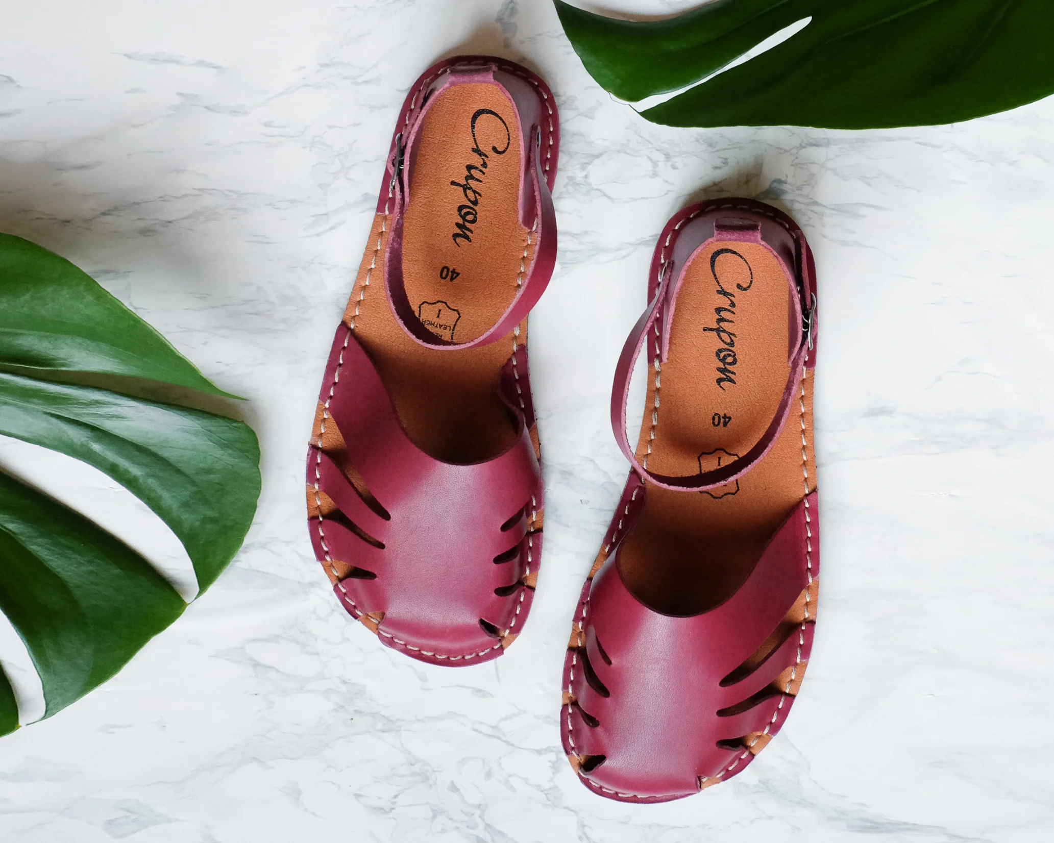 Monstera - Marsala