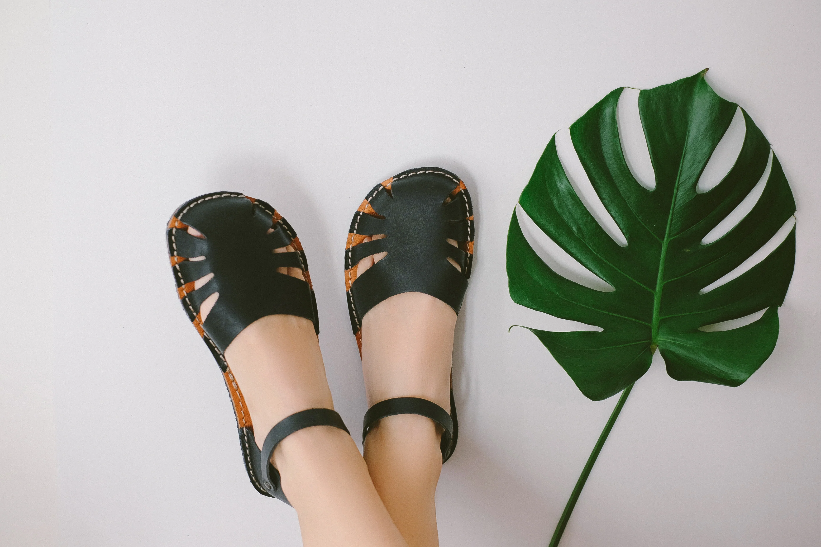 Monstera - Nero - Image 8