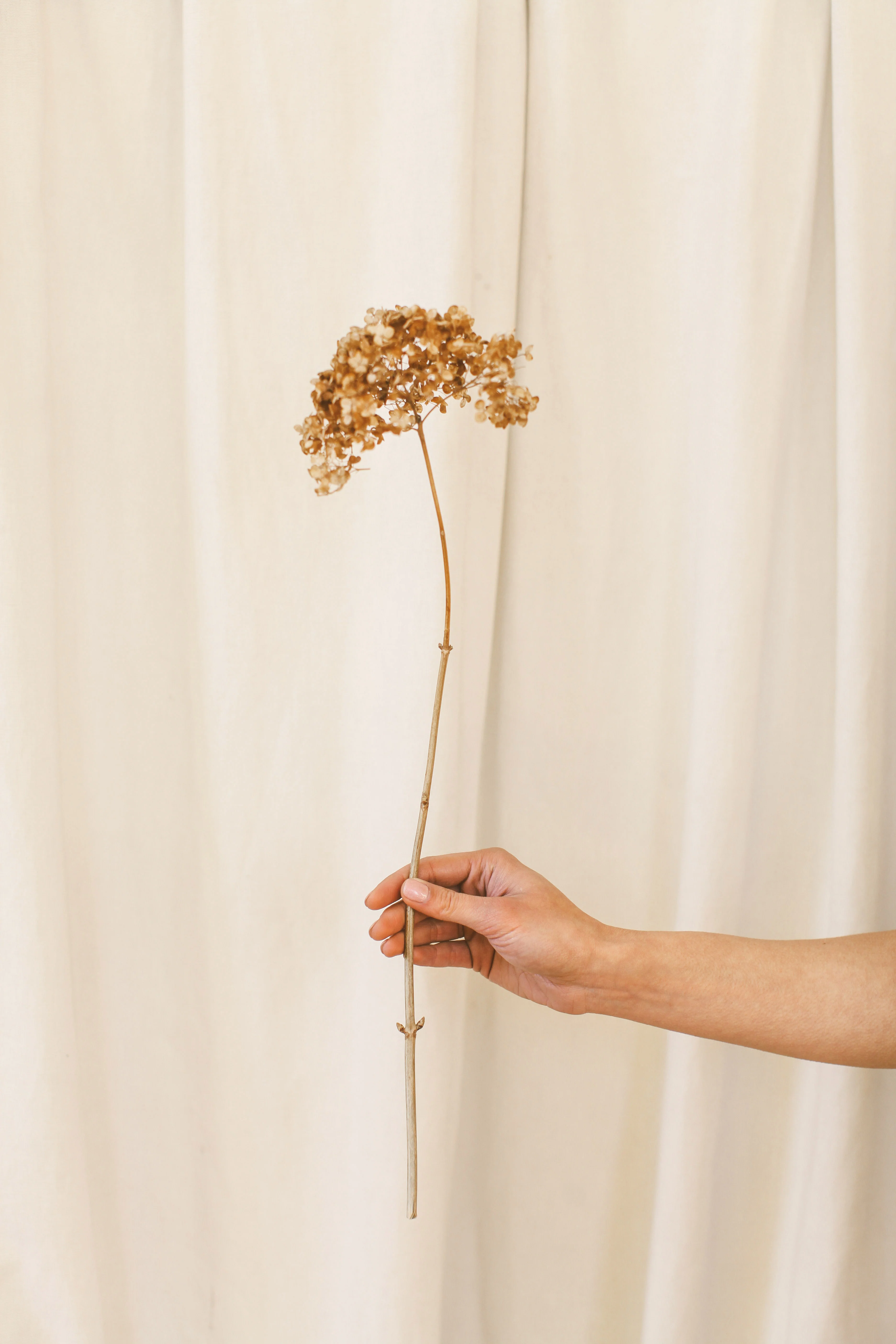 Olive Barefoot - Nero - Image 9